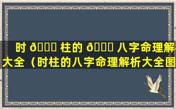 时 🐎 柱的 🐕 八字命理解析大全（时柱的八字命理解析大全图）